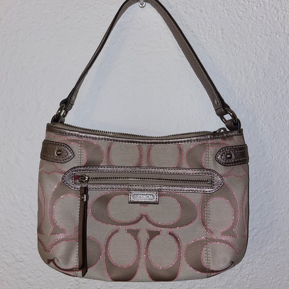 COACH Daisy Outline Signature Silver Crossbody Bag
